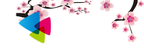 风竹小说